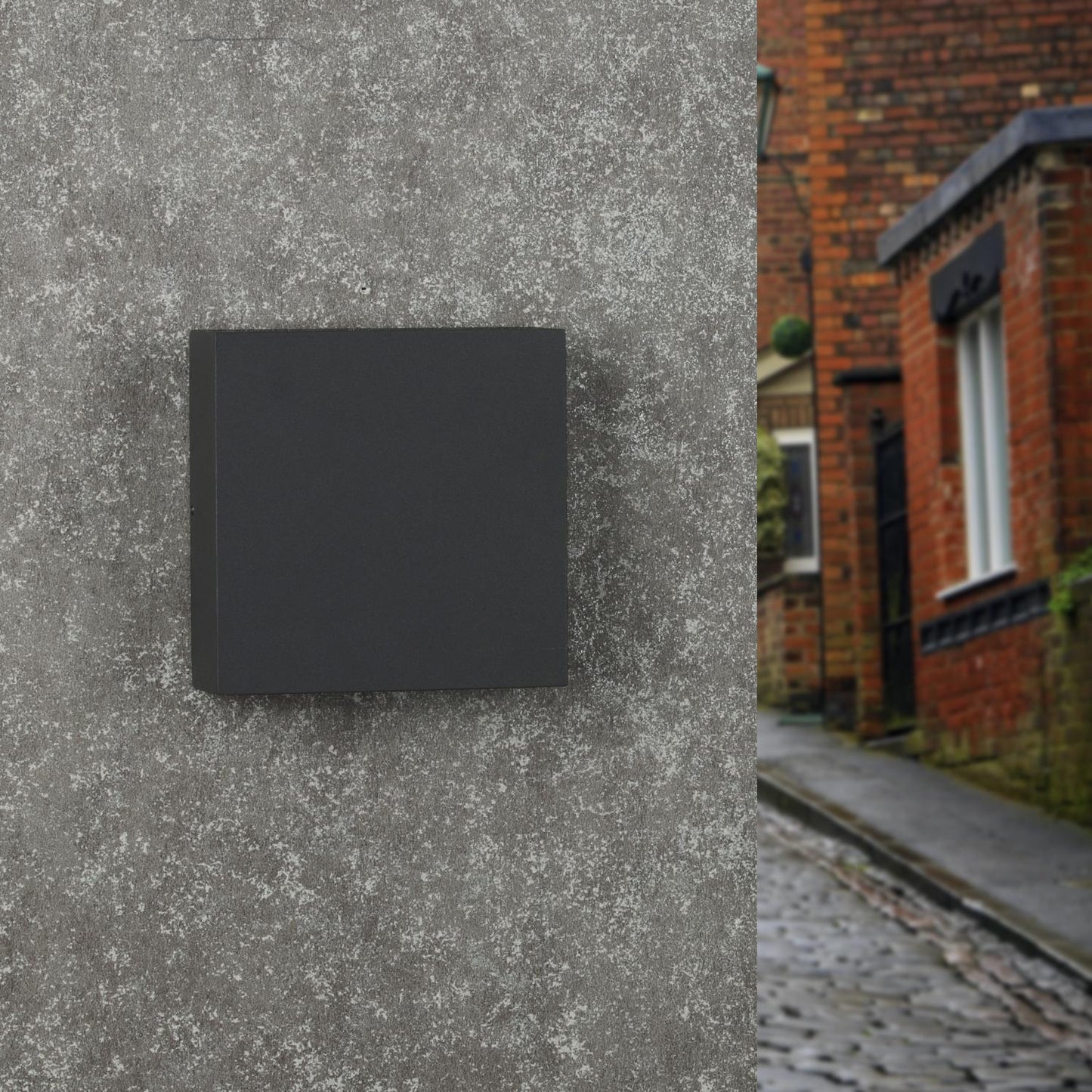 Outdoor Wall Sconce/Path Light