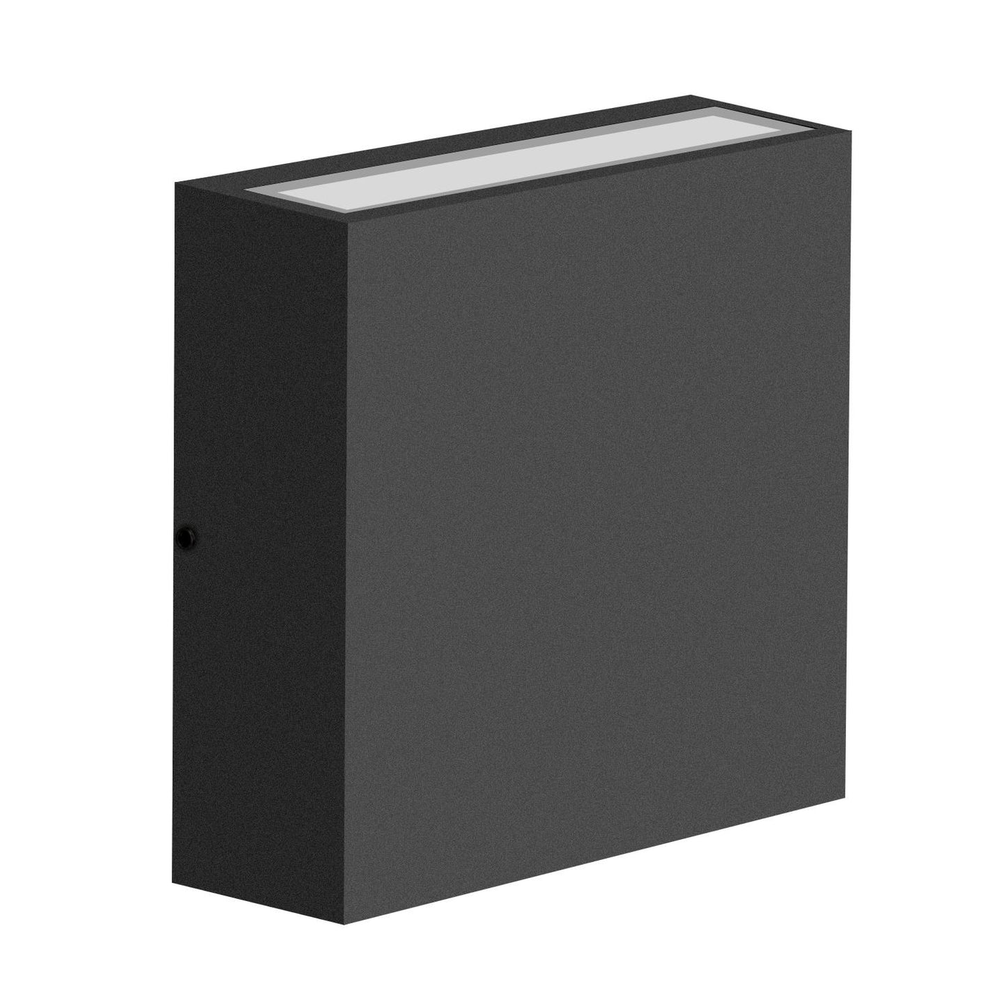 Outdoor Wall Sconce/Path Light