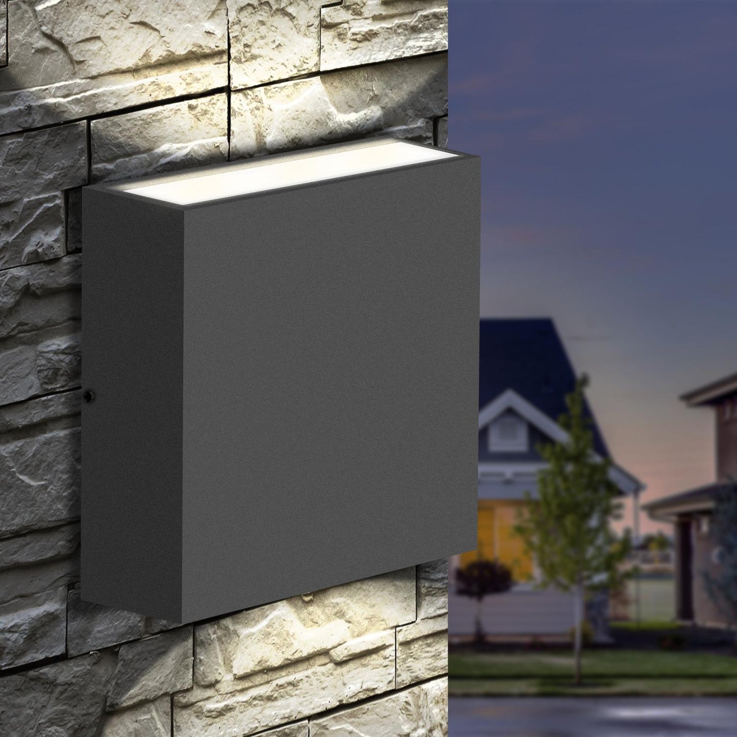 Outdoor Wall Sconce/Path Light