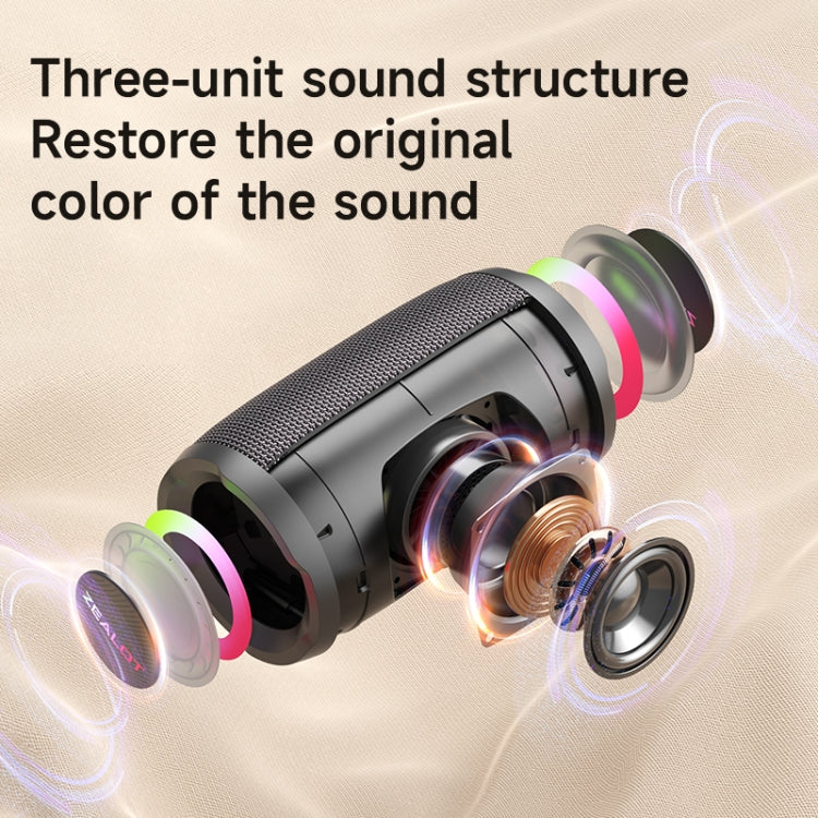 Zealot S61M Wireless Karaoke Microphone Speaker System with RGB Rhythm Light, Single Mic, Dual Mic