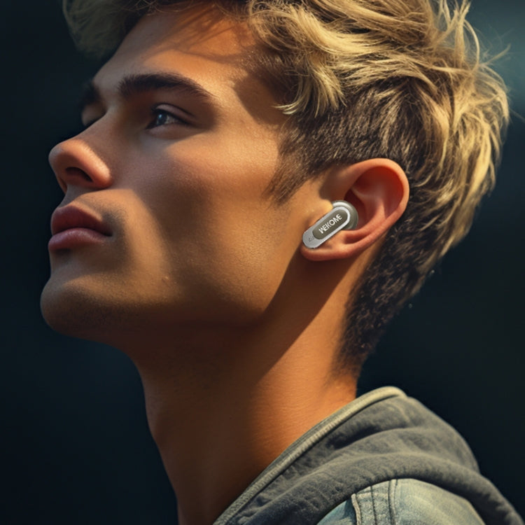WK Beluga S9 Wireless Bluetooth Headphones with Noise Cancelling and Color Display