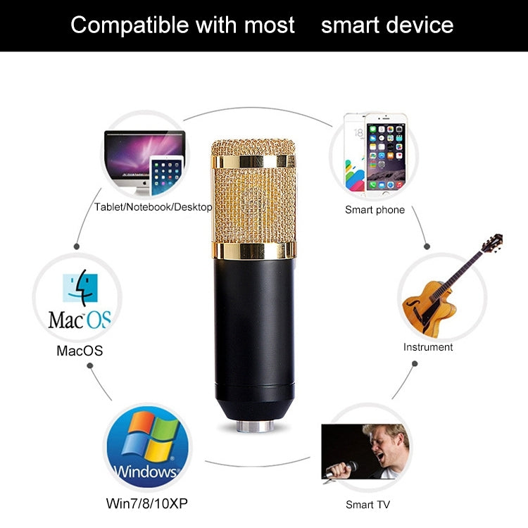 BM-800 Network K-Song High-End Metal Microphone Set