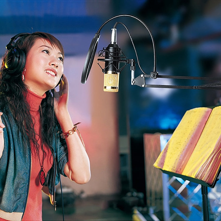 BM-800 Network K-Song High-End Metal Microphone Set