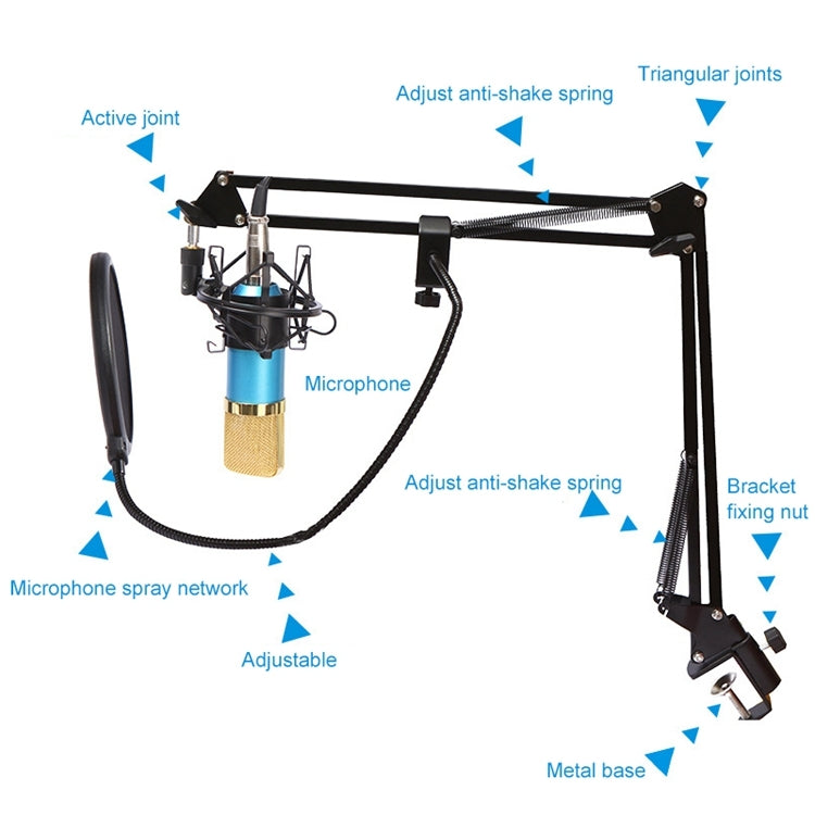 BM-800 Network K-Song High-End Metal Microphone Set