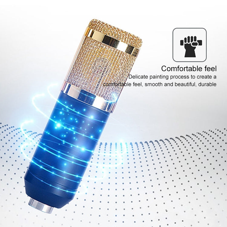 BM-800 Network K-Song High-End Metal Microphone Set