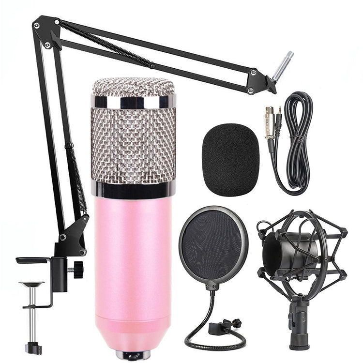 BM-800 Network K-Song High-End Metal Microphone Set