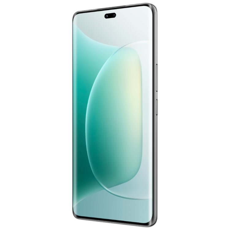 Honor 300 Pro 12GB + 512GB (16GB+512GB) 5G
