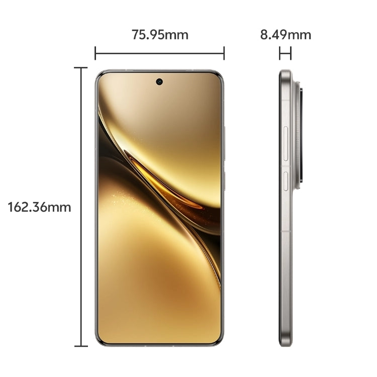 Vivo X200 Pro 12 GB + 256 GB