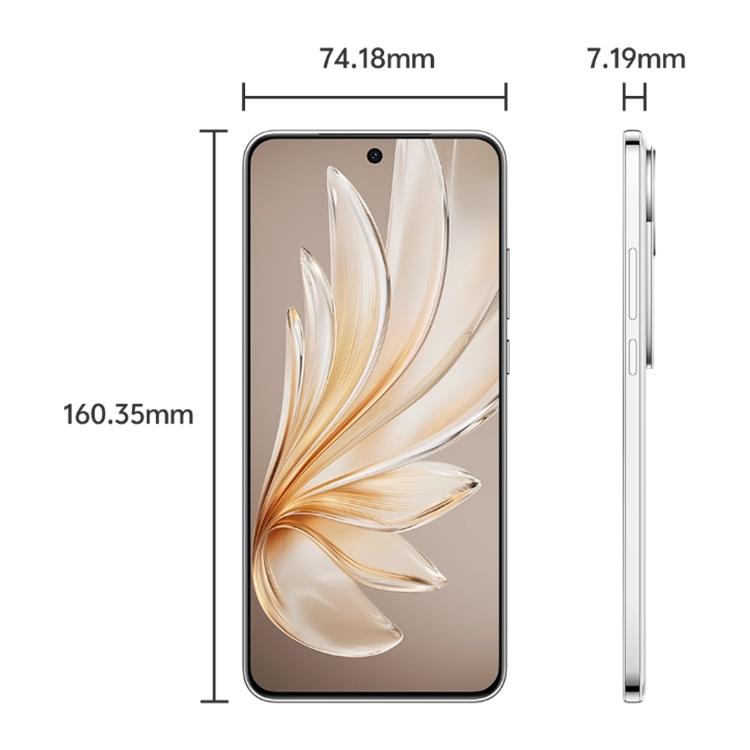 Vivo S20 8 GB + 256 GB