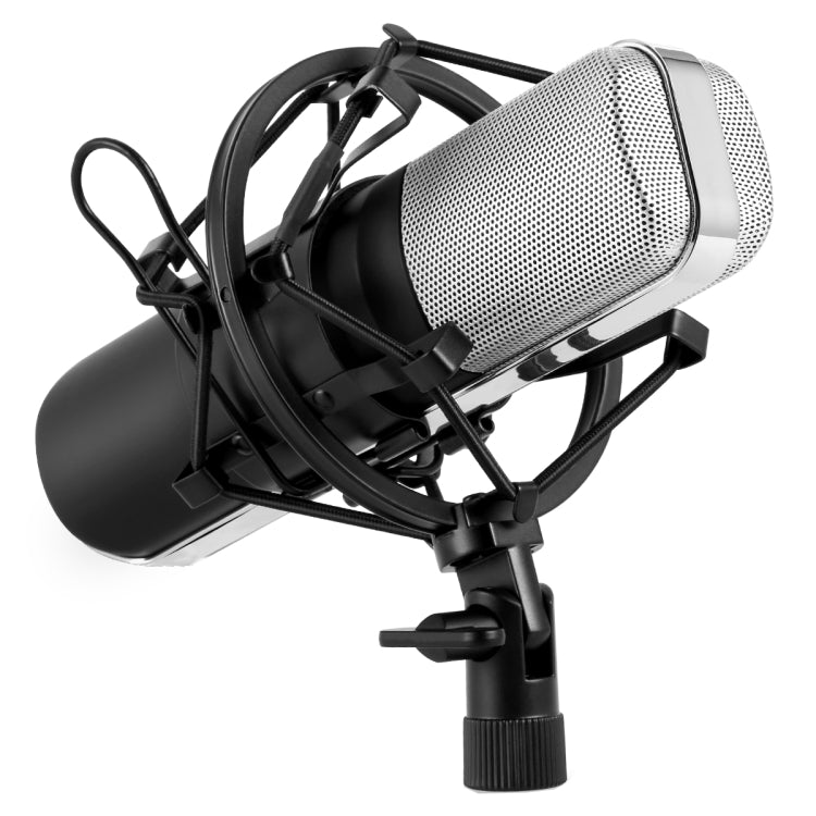 Professional Microphone Compatible with PC and Mac for Live Streaming, KTV