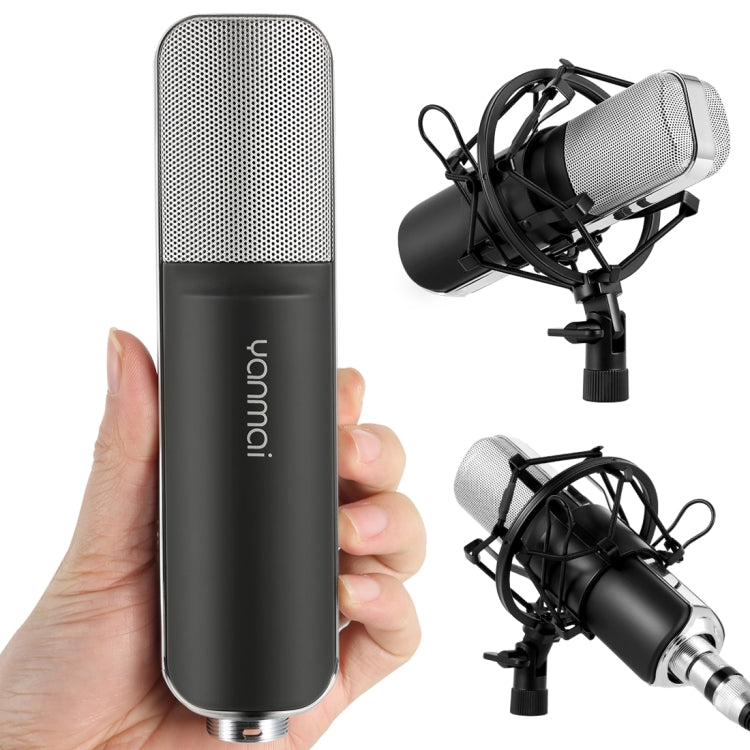 Professional Microphone Compatible with PC and Mac for Live Streaming, KTV