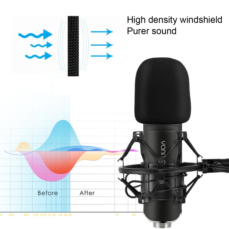 Professional Microphone Compatible with PC and Mac for Live Streaming, KTV