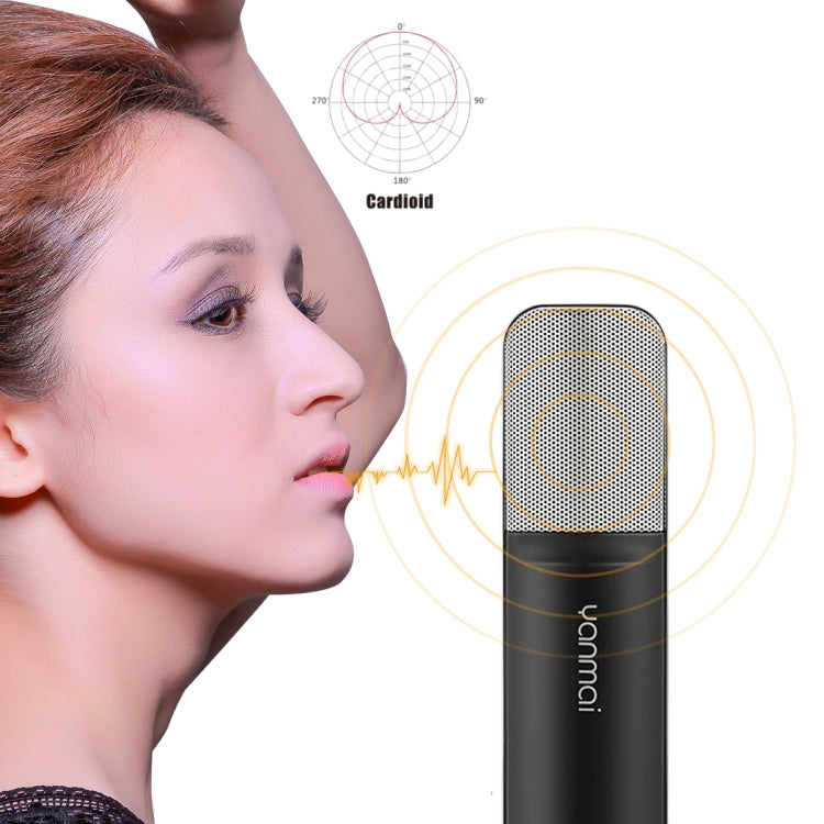 Professional Microphone Compatible with PC and Mac for Live Streaming, KTV