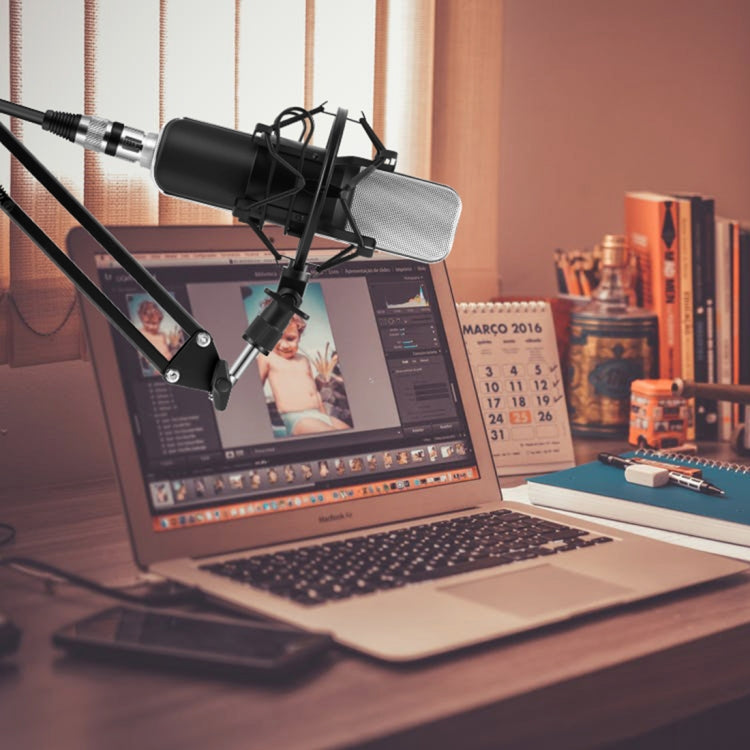 Professional Microphone Compatible with PC and Mac for Live Streaming, KTV