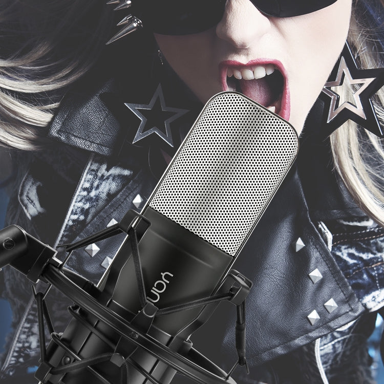 Professional Microphone Compatible with PC and Mac for Live Streaming, KTV