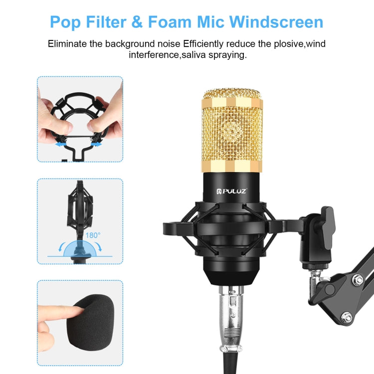 PULUZ Condenser Microphone Professional Singing Microphone for Studio Broadcasting