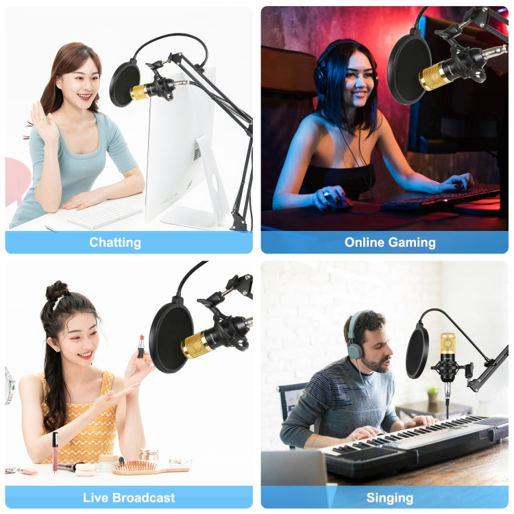 PULUZ Condenser Microphone Professional Singing Microphone for Studio Broadcasting