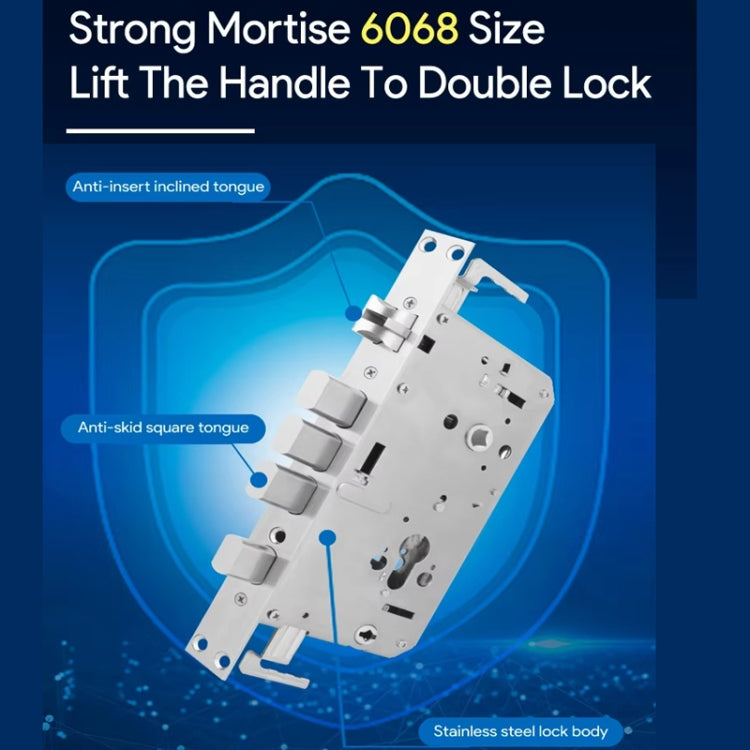 Locstar A60 Smart Fingerprint and Password Door Lock with Doorbell