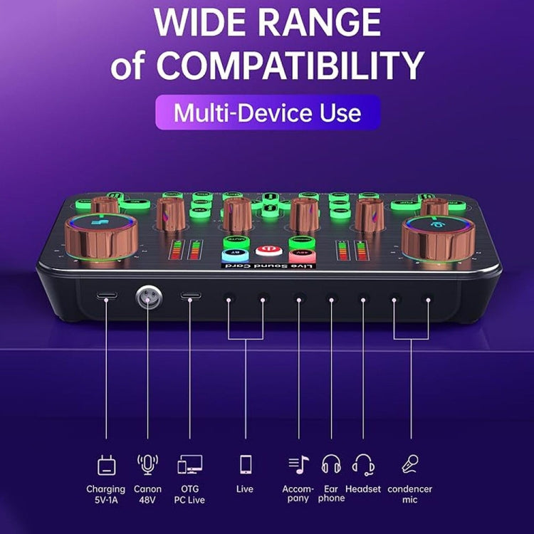 Live K600 48V Dedicated Sound Card