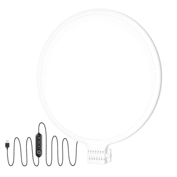 LED Fill Light for Photography Eye Protection 8 10 and 12 Inches
