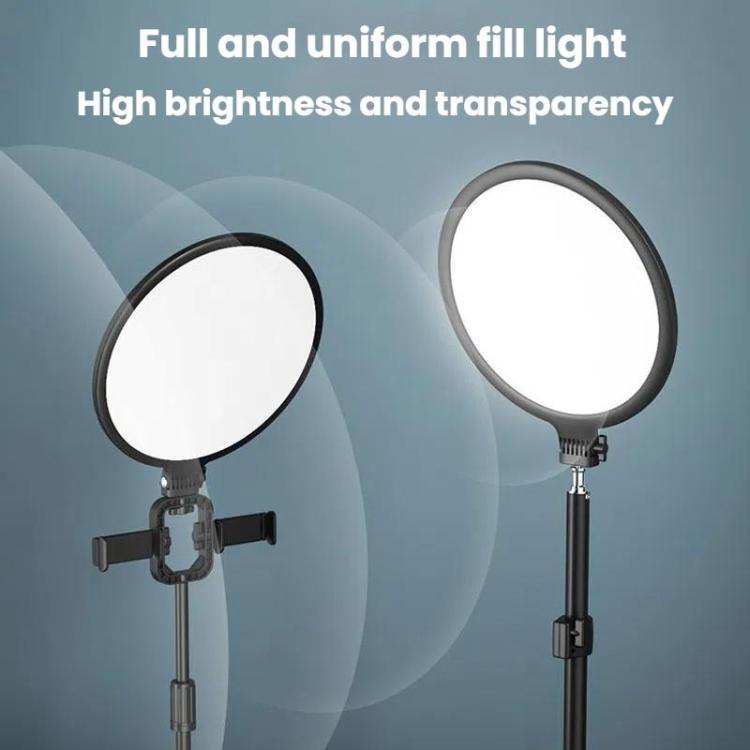 LED Fill Light for Photography Eye Protection 8 10 and 12 Inches