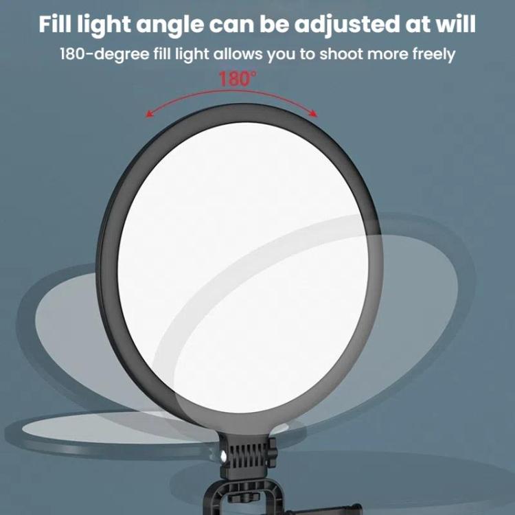 LED Fill Light for Photography Eye Protection 8 10 and 12 Inches