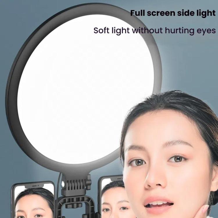 LED Fill Light for Photography Eye Protection 8 10 and 12 Inches