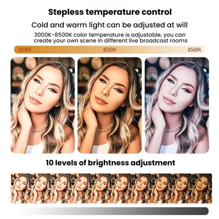 LED Fill Light for Photography Eye Protection 8 10 and 12 Inches