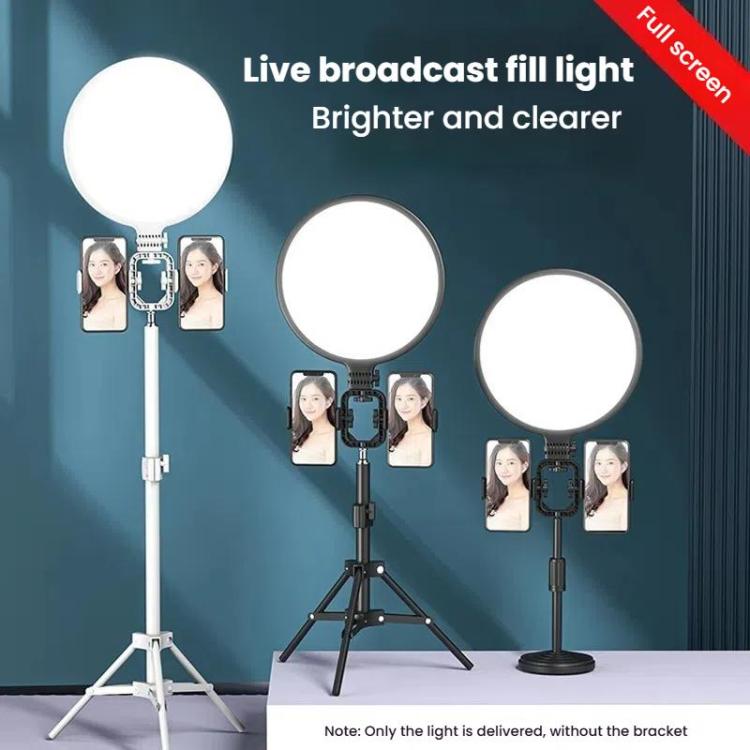 LED Fill Light for Photography Eye Protection 8 10 and 12 Inches