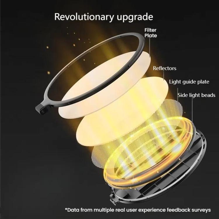 LED Fill Light for Photography Eye Protection 8 10 and 12 Inches