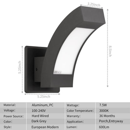 Outdoor Wall Sconce/Path Light