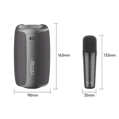 Zealot S61M Wireless Karaoke Microphone Speaker System with RGB Rhythm Light, Single Mic, Dual Mic
