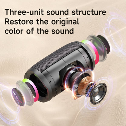 Zealot S61M Wireless Karaoke Microphone Speaker System with RGB Rhythm Light, Single Mic, Dual Mic