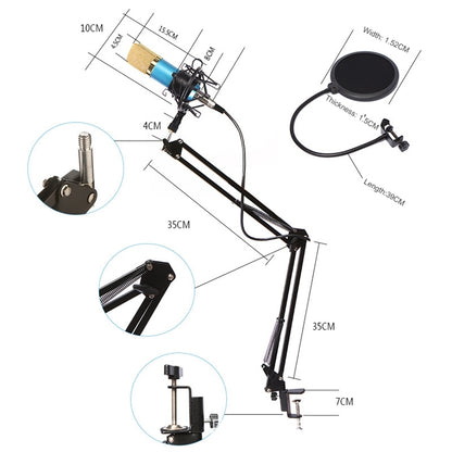 BM-800 Network K-Song High-End Metal Microphone Set