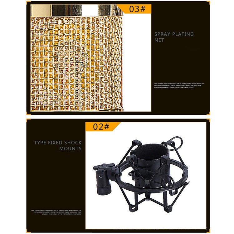 BM-800 Network K-Song High-End Metal Microphone Set