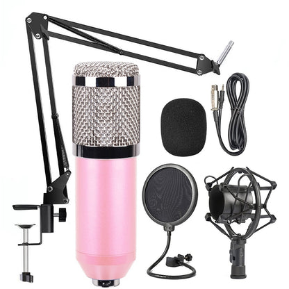 BM-800 Network K-Song High-End Metal Microphone Set