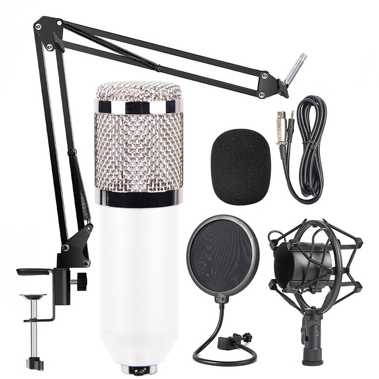 BM-800 Network K-Song High-End Metal Microphone Set