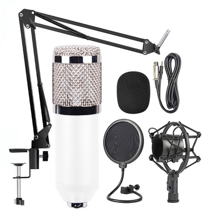 BM-800 Network K-Song High-End Metal Microphone Set