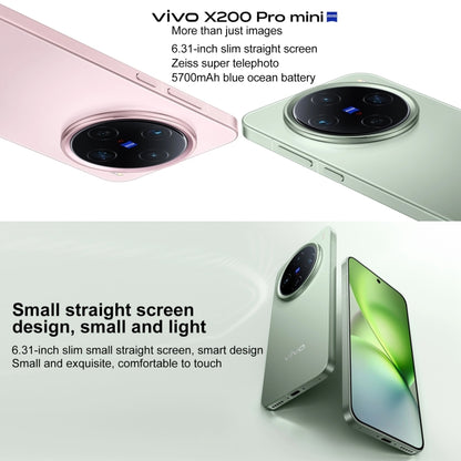 Vivo X200 Pro mini 12 GB + 256 GB