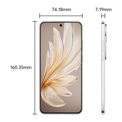 Vivo S20 8 GB + 256 GB
