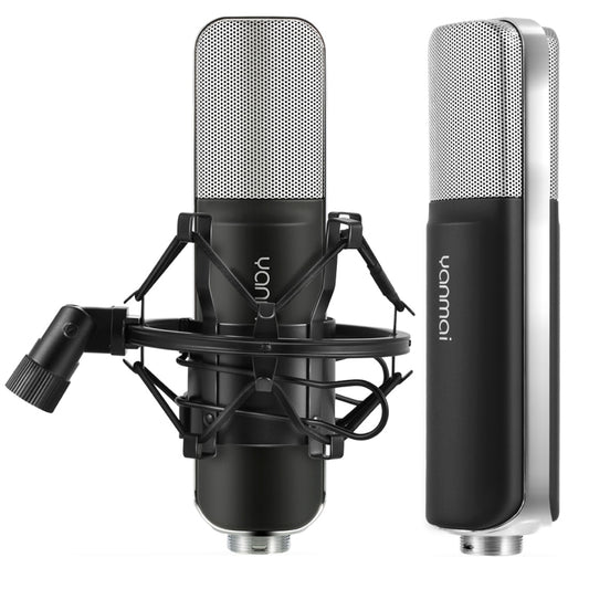 Professional Microphone Compatible with PC and Mac for Live Streaming, KTV