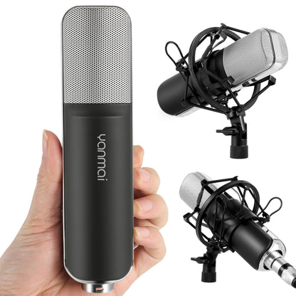Professional Microphone Compatible with PC and Mac for Live Streaming, KTV