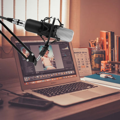 Professional Microphone Compatible with PC and Mac for Live Streaming, KTV