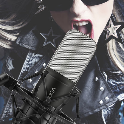Professional Microphone Compatible with PC and Mac for Live Streaming, KTV