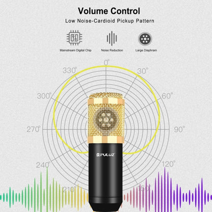 PULUZ Condenser Microphone Professional Singing Microphone for Studio Broadcasting