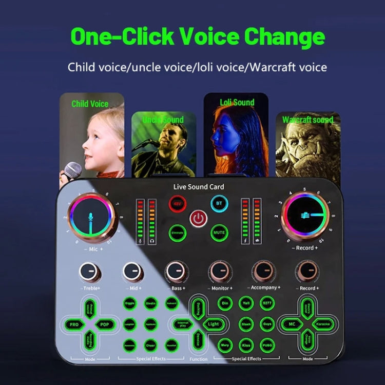 Live K600 48V Dedicated Sound Card