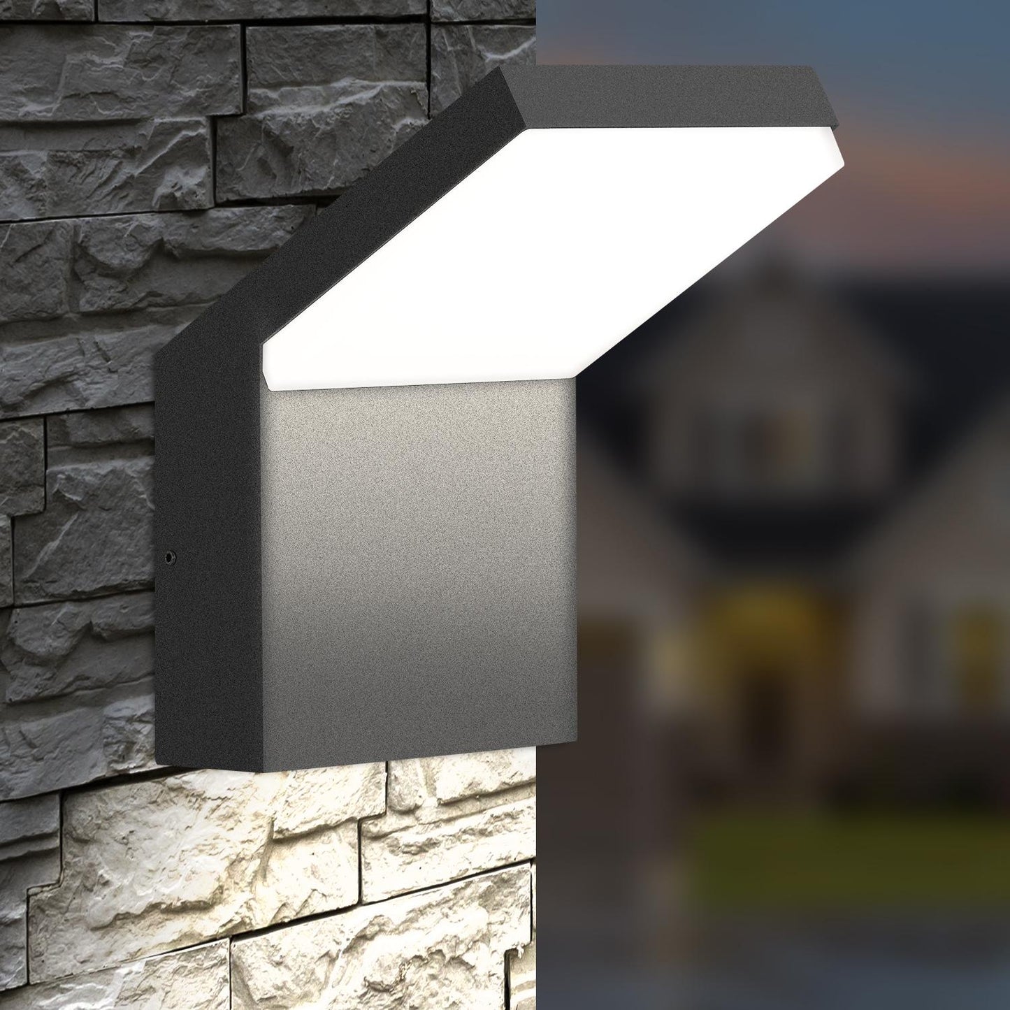 Outdoor Wall Sconce/Path Light