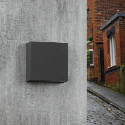 Outdoor Wall Sconce/Path Light